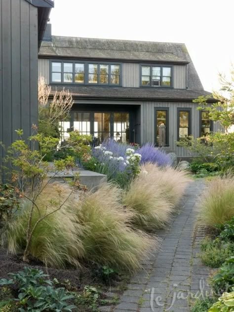 Short Ornamental Grasses, Modern Garden Landscaping, Landscaping Shrubs, Rose Garden Landscape, Modern Garden Lighting, Grasses Landscaping, Modern Garden Design, Landscape Design Plans, Casa Exterior