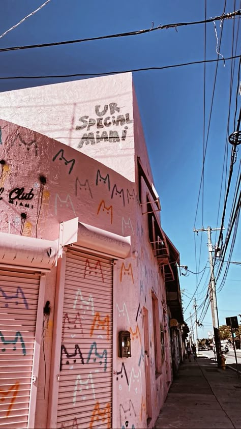 Miami 2000s Aesthetic, Miami Street Photography, Old Miami Aesthetic, Miami Mood Board, Wet Willies Miami, Wynwood Walls Photoshoot, Miami Neighborhoods, Miami Culture, Miami Building