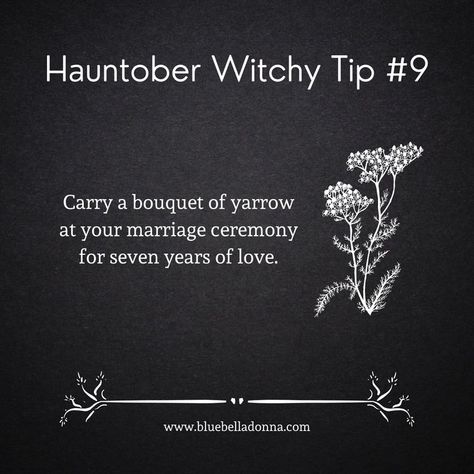 #hauntober #witchytip #october #witchtips Witch Wedding Traditions, Witch Themed Wedding, Pagan Wedding Traditions, Witchy Wedding Ideas, Magickal Tips, Antique Engagement Rings Victorian, Witchy Wedding, Wicca Spells, Witch Wedding