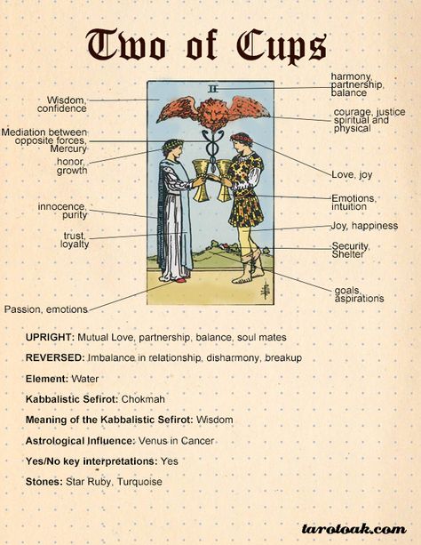 Two of Cups Tarot Card Meaning Upright and Reversed | Tarot Oak 2 Of Cups Tarot Meaning, 4 Of Cups Tarot Meaning, Two Of Cups Tarot Meaning, Four Of Cups Tarot Meaning, Two Of Cups Tarot Card, Two Of Cups Tarot, Suit Of Cups, Tarot Cups, Tarot Card Meanings Cheat Sheets