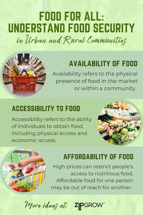 In 2020, a staggering 2.4 billion people, or above 30 percent of the world’s population, were moderately or severely food-insecure, lacking regular access to adequate food. Do you know what food security is? Check our infographic and blog to learn more from 3 aspects! Food Security Infographic, Food Rescue, Food Sovereignty, Food Justice, Social Studies Projects, Importance Of Food, Food Insecurity, Food System, Food Security