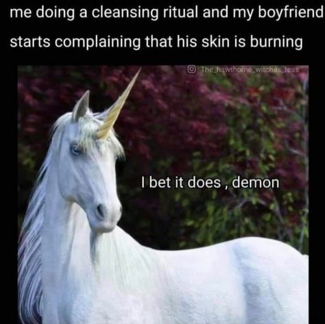 Follow me for more spiritual memes... Funny Spiritual Memes, Witch Meme, Cleansing Ritual, W.i.t.c.h Aesthetic, Witchy Vibes, You Funny, Bones Funny, Funny Posts, Mood Pics