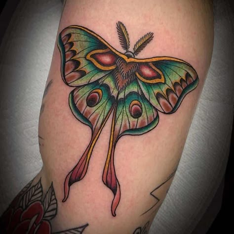 Top 45 Best Luna Moth Tattoo Ideas - [2021 Inspiration Guide] Color Luna Moth Tattoo, Neo Traditional Luna Moth, Luna Moth Color Tattoo, American Traditional Lunar Moth, Luna Moth Shoulder Tattoo, Spanish Luna Moth Tattoo, Moth Half Sleeve Tattoo, American Traditional Moth Tattoo Color, Green Moth Tattoo