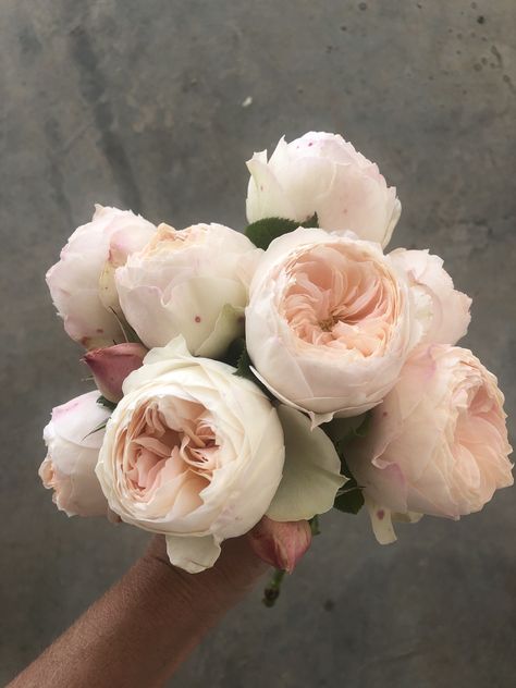 English Garden Rose Bouquet, Garden Rose Wedding Bouquet, English Rose Bouquet, Garden Roses Bouquet, Garden Rose Bouquet Wedding, Romantic Gardens, Garden Rose Bouquet, Emma Woodhouse, Rose Varieties