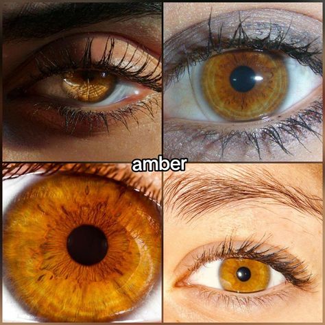 Manon (Del Rey's version✰) sur TikTok Amber Eyes Color, Pretty Eyes Color, Brown Eyes Aesthetic, Eye Color Chart, Eye Trends, Beautiful Eyes Color, Amber Eyes, Makeup Accesories, Makeup Tattoos