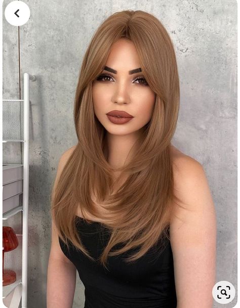 Hair Cuts Ideas Medium, Light Brown Hair Color, Bangs Wig, Hairstyles For Layered Hair, Hair Color Light Brown, Haircuts Straight Hair, Long Layered Hair, Haircuts For Long Hair, Hair Inspo Color