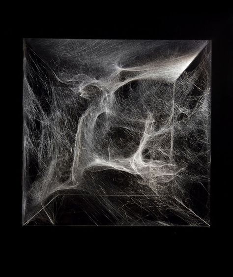 Tomás Saraceno Works With Spiders Cosmic Web, Spider Species, Web Studio, Spider Webs, Sculpture Installation, Design Milk, Fresh Design, Musical Instrument, Spiders