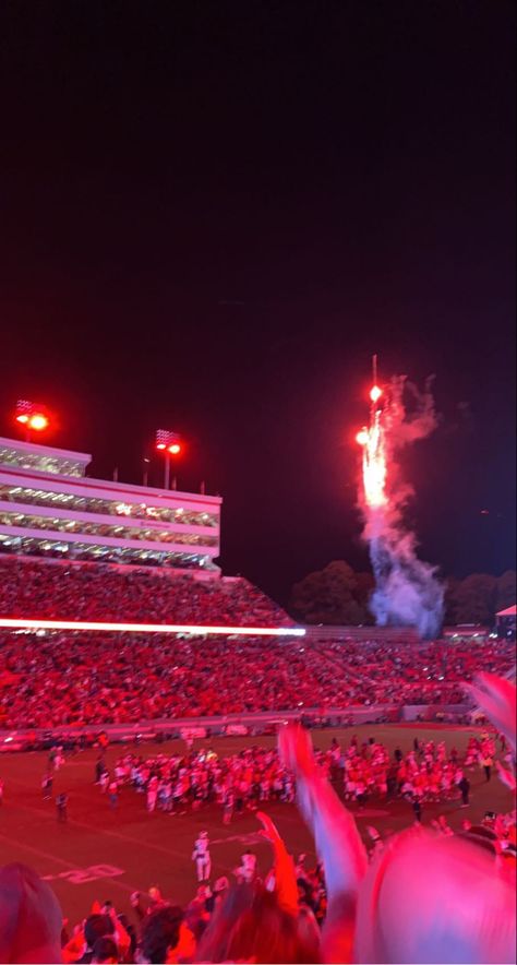 Raleigh Aesthetic, Nc State Aesthetic, Football Game College, Nc State Football, New Mexico State University, Girl Goals, Nc State University, Nevada State, Nc State Wolfpack