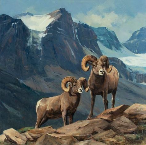 Antelope Animal, Sheep Drawing, Sheep Paintings, North American Wildlife, Big Horn Sheep, Western Artwork, Hunting Art, Sheep Art, Wild Animals Pictures