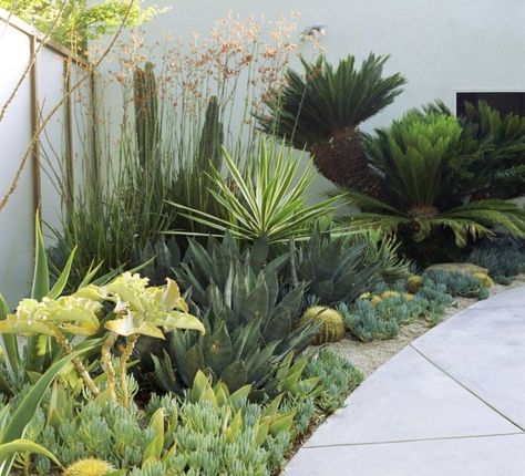 Contemporary Garden Design, Drought Tolerant Garden, Succulent Landscaping, Dry Garden, Landscape Designs, Contemporary Garden, Garden Care, Small Gardens, Garden Spaces