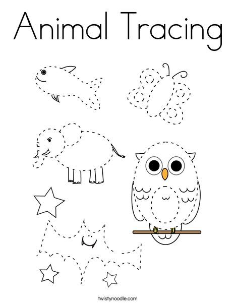 Animal Tracing Coloring Page - Twisty Noodle Tracing Animals, Polar Bear Coloring Page, Tracing Pictures, Tracing Worksheets Free, String Art Templates, Fish Coloring Page, Preschool Tracing, Animal Worksheets, Tracing Worksheets Preschool