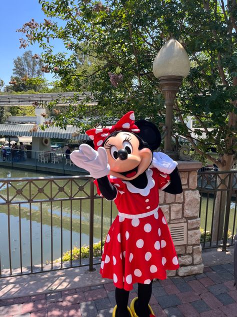 Minnie Mouse Disneyland, Animal Mascot, Mouse Wallpaper, Disney World Characters, Disney Photography, Mascot Costumes, Disney Parks, Disney World, Disneyland