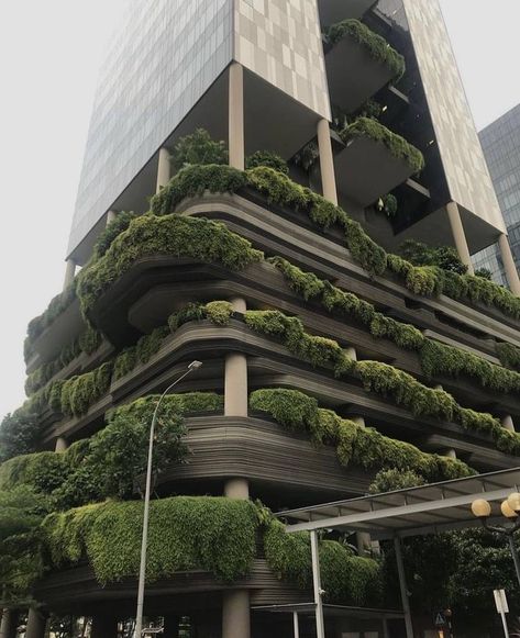 Overgrown Future City, Futuristic Biophilic Design, Singapore Plant Building, Overgrown Brutalist Architecture, Brutalist Architecture With Plants, Eco Brutalist Architecture, Solar Punk Wallpaper, Solar Punk Building, Ecobrutalism Aesthetic