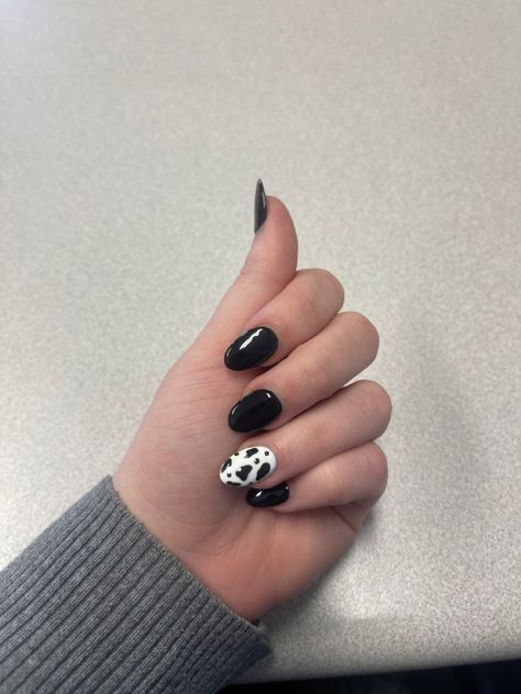 Black Almond Acrylic, Black Almond Acrylic Nails, Almond Acrylic, Almond Acrylic Nails, A Cow, Cow Print, Acrylic Nails, Almond, Cow