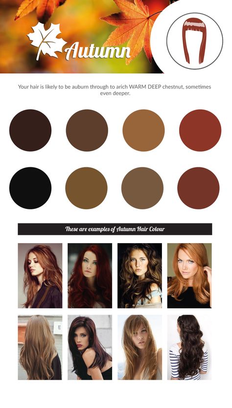 AUTUMN Hair Colour Chart. Autumn Tones Hair, Hair Colours For Deep Autumn, Hair Colour For Dark Autumn, Red Hair For Deep Autumn, Hair Color Ideas For Soft Autumn, House Of Colour Autumn Hair, Dark Autumn Hair Color Ideas, True Autumn Hair, Deep Autumn Hair Color Ideas