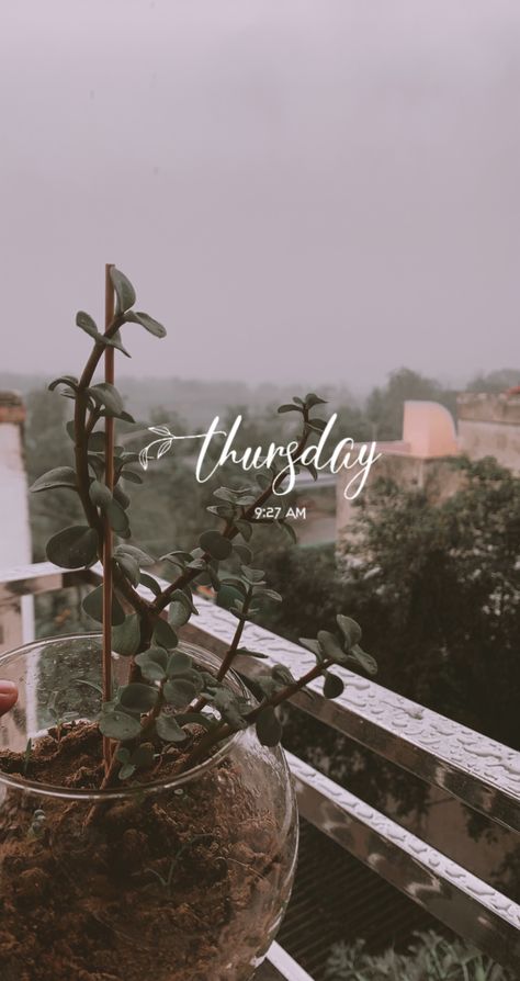 Snapchat story ideas Rainy Balcony, Balcony Aesthetic, Lehenga Red, Instagram My Story, Mood Instagram, Aesthetic Quotes, Self Love Quotes, Story Ideas, Instagram Story Ideas