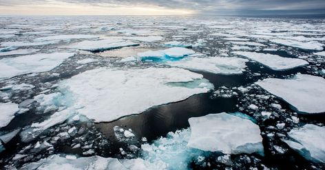 Arctic sea ice drops below a grim benchmark in 2020 Backyard Accessories, The Point Of No Return, Point Of No Return, Weather Storm, Ice Sheet, Arctic Sea, Arctic Ice, Boreal Forest, Sea Ice