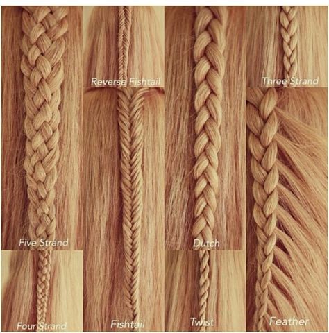 Different styles Kinds Of Braids, Different Types Of Braids, Types Of Braids, Beautiful Braids, Hairstyles Braids, Different Hairstyles, Braids Hairstyles, Dream Hair, Love Hair