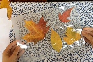 Laminated Leaves for Fall Crafts. No Laminator Needed : 5 Steps (with Pictures) - Instructables Laminating Sheet Craft, Laminated Leaves, Laminating Crafts, Nature Bookmark, Educational Websites For Kids, Leaf Projects, Fall Leaf Garland, Gift Boxes Decoration, Fall Deco