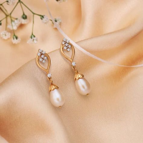 Pearl studs look very simple and elegant. Select the latest designs in pearl studs from our pearl collection. Small Gold Earrings Indian, Latest Earrings Design, Small Earrings Gold, Gold Ideas, Pearl Earrings Designs, Kalyan Jewellers, Gold Jewellry, Pearl Jewelry Design, Kids Blouse