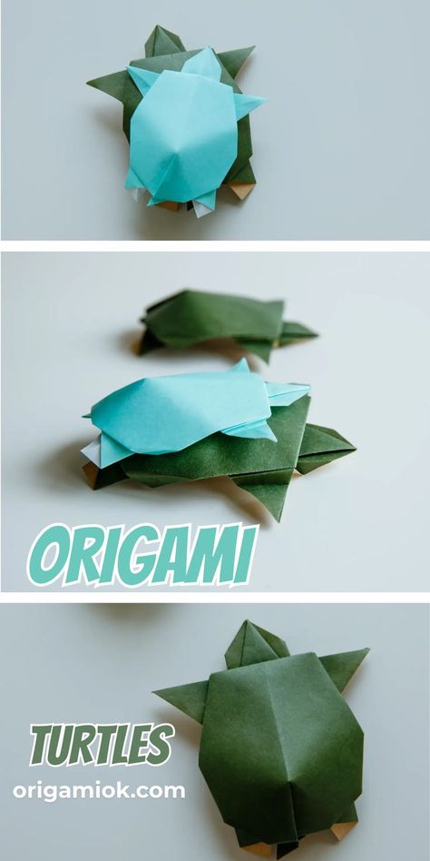 If you are an animal lover, this detailed guide will help you master the art of folding your very own lovely and delightful turtle. Create a turtle family by making turtles of various sizes and dimensions, bringing a touch of nature and artistry to your house or office. Origami Turtle, Origami Animals, How To Fold, A Turtle, An Animal, Turtles, Animal Lover, Origami, Art