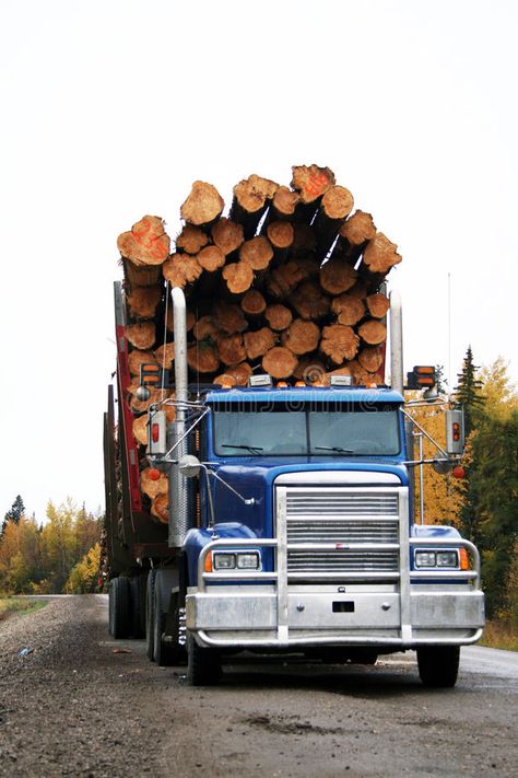 Logging truck. Blue logging truck carrying a large load of logs , #SPONSORED, #Blue, #logging, #Logging, #truck, #load #ad Tree Garden, Big Tree, Botanic Garden, Loving Memory, Design Products, Merchandise Design, Graphics Design, Design Projects, Photo Image