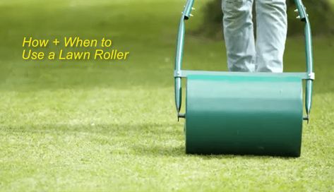 When to Use a Lawn Roller + How it Works? - LawnsBesty Planting Grass Seed, Lawn Roller, Lawn Repair, Lawn Rollers, Planting Grass, Garden Watering System, Lawn Care Tips, Watering System, Garden Watering