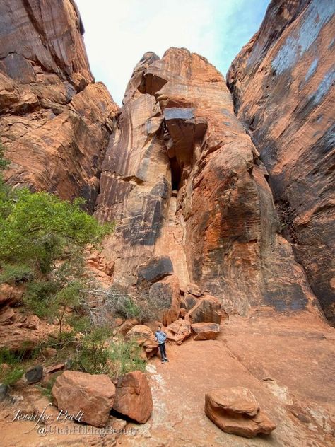 Snow Canyon State Park - Utah Hiking Beauty Monument Valley National Park, Zion National Park Hikes, Utah Arches, Utah State Parks, Snow Canyon State Park, Utah Lakes, Antelope Island, Grand Staircase Escalante, Utah Adventures