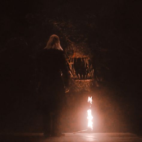 Dragons As Humans, House Of The Dragon Aesthetic, House Of Targaryen, The Night Stalker, Dragon Aesthetic, Hotd Dragons, Targaryen House, Fantasy Tv Shows, Night Stalker