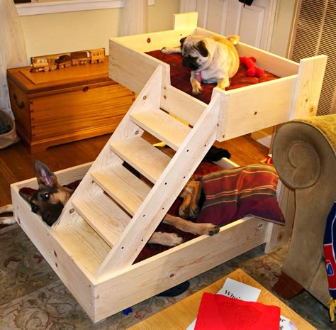 Dog Bunk Beds, Katt Diy, Pallet Dog Beds, Dog Bed Ideas, Dog Feeding Station, Diy Bunk Bed, Dog Stairs, Diy Dog Bed, Dog Rooms