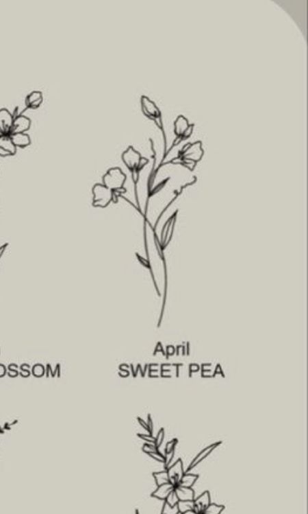 Sweet Pea And Daisy Bouquet Tattoo, Daisy And Sweat Pea Tattoo, Dainty Sweet Pea Tattoo, April Birth Flower Tattoo Daisy And Sweet Pea, Sweet Pea Minimalist Tattoo, Small Sweet Pea Tattoo, Sweet Pea Fine Line Tattoo, Sweet Pea Flowers Tattoo, Pea Pod Tattoo