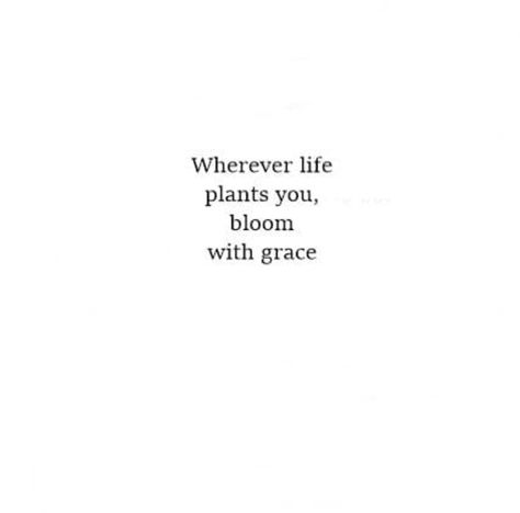 #quotes #quotestoliveby #quotesaboutlife #quotesdaily #quotesoftheday #quotesgram #positive #positivethinking #positiveenergy #positivequotes #shortquote #wisdomquote #health #healthyliving #finance #financialfreedom #tiktok #shorts #wellness #wellbeing #spiritual #spirituality #healing #growth #journalprompts #journey #transformation #teacher #strength #fashion #recipe #aesthetic #crochet #1 #whisper #coquette #him #her #lovelife #mothersday #relaxing #relatable #diy #reminder #astrology #universe Heal Short Quotes, Quotes About Growth Short, Body Positive Quotes Short Aesthetic, Healing Quotes Spiritual Short, Spiritual Short Quotes, Growth Quotes Short, One Word Quotes Aesthetic, Healing Quotes Short, Short Spiritual Quotes