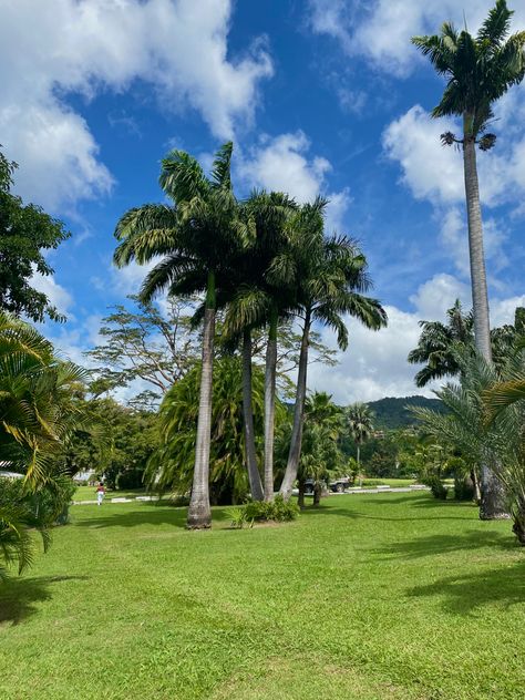 Dominica Dominica Island Caribbean, Dominica Aesthetic, Dominica Island, Middle America, Travel America, Caribbean Art, Horse Aesthetic, Nature Adventure, Island Girl