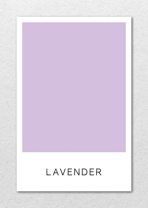 Lavender Palette Color, Soft Lavender, Lavender Purple Color, Soft Lavender Color Palette, Lavender Colour Palette, Shades Of Lavender, Lavender Colour, Lavender Palette, Lavender Color Code