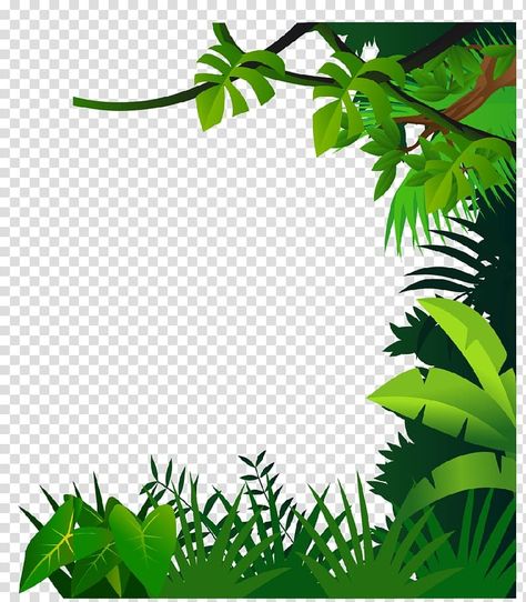 Drawing Jungle, Jungle Border, Family Tree Logo, Magic Jungle, Jungle Cartoon, Dandelion Drawing, Drawing Borders, Botany Illustration, Green Grass Background