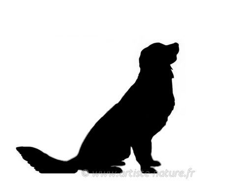 Silhouette chien Golden Retriever en acier Cartridge Crafts, Golden Retriever Silhouette, Art Classroom Management, Chien Golden Retriever, Golden Retriever Art, Shadow Painting, Shadow Silhouette, Dog Area, Dog Quilts