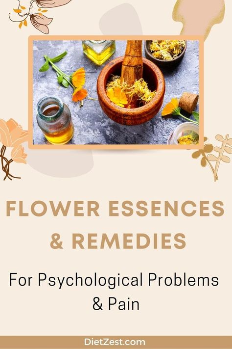 Flower Essence Remedies - For Psychological Problems & Pain - DietZest.com Flower Essences Remedies, Therapy Benefits, Flower Remedies, Bach Flower Remedies, Flower Remedy, Essential Oils Health, Flower Essences, Healing Herbs, Mind Body Spirit