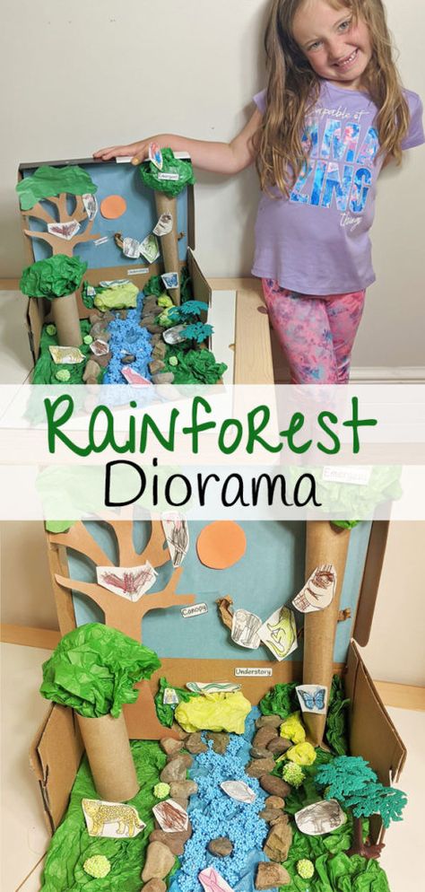 Diy Rainforest Diorama, Rain Forest Diorama For Kids, Rainforest Layers Project, Jungle Habitat Projects For Kids, Rainforest Diarama Ideas Kids, Rain Forest Habitat Project For Kids, Amazon Rainforest Diorama, Rainforest Habitat Diorama, Rainforest Projects For Kids