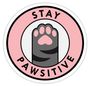 Stay Pawsitive Sticker, Funny Cat Stickers Printable, Be Pawsitive, Cat Aesthetic Sticker, Sticker Inspo Aesthetic, Drawing Stickers Art, Homemade Sticker Ideas, Cute Cat Stickers Printable, Cool Stickers Art