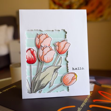 Tulip Card, It's Tuesday, Tulips Card, Penny Black Stamps, Altenew Cards, Card Making Templates, Floral Card, Floral Drawing, Beautiful Handmade Cards