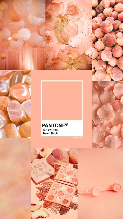 Peach Fuzz Color Aesthetic, Peach Fuzz Pantone 2024, Peach Fuzz Aesthetic, Peach Colored Wallpaper, Peach Fuzz Color, Peach Outfit Ideas, Trending Gel Nails, Peach Color Aesthetic, Color Palette Peach