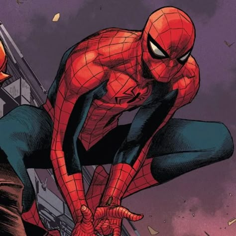 Spider Man Matching Pfp, Spider Man Matching, Peter Parker Comic, Lee Weeks, Spider Man Costume, Spiderman Comic Art, Spectacular Spider Man, Spiderman Pictures, Marvel Spiderman Art