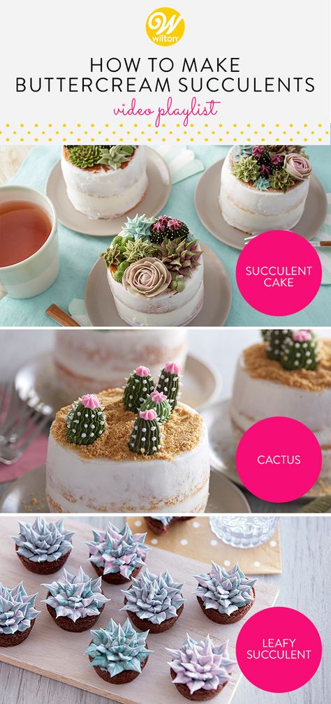 Learn how to pipe different types of buttercream succulent to create a beautiful edible garden! #wiltoncakes #youtube #playlist #tutorial #homemade #buttercream #frosting #buttercreamfrosting #wiltontips #pipingtips #plants #flowers #succulents #earthy #cactus #cacti #dessert #desert #minicakes #cakes #brownies #treats #dessertideas #basic #simple #easy #beginner #videos Buttercream Cactus, Cactus Frosting Tutorial, Buttercream Cactus Cake, Succulent Cake Tutorial, Cactus Icing Tutorial, Succulent Icing Tips, Easy Succulent Cake, Succulents Cake Ideas, Succulent Frosting Tutorials