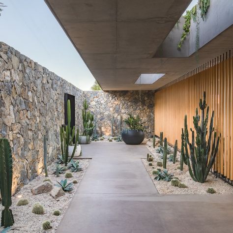 10 Sensational Palm Springs Style Houses For Photoshoots and Filming - Pure Locations Marfa Architecture, Modern Desert Landscaping, Palm Springs Garden, Desert Landscape Design, Palm Springs Home, Courtyard Entry, Palm Springs Style, Dry Stone Wall, Desert Garden