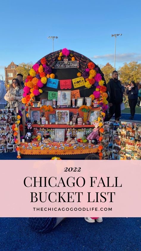 Things to do in Chicago this fall! Things To Do In Chicago In September, Chicago Things To Do In Fall, Chicago In October, Fall In Chicago, Chicago Fall, Chicago Weekend, Chicago Beach, Chicago Things To Do, Things To Do In Chicago