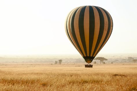 Landing © Aravind Krishnaswamy Aravind Krishnaswamy, Hot Air Balloon, Air Balloon, Hot Air, Balloons