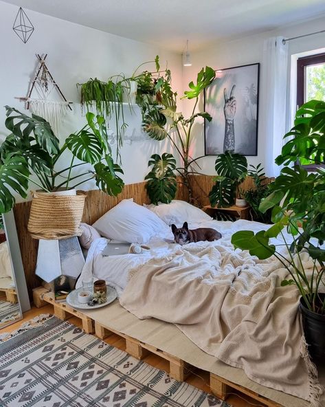 Vine Bedroom, Plant Bedroom Aesthetic, Palette Bed, Murphy Bed Office, Indoor Plants Bedroom, Guest Bedroom Office, Best Plants For Bedroom, Boho Plants, Bed Design Ideas