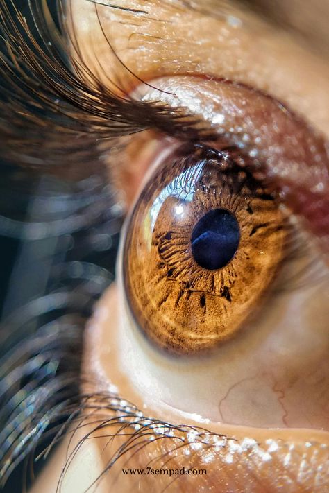 iris photography, eye photography, Photos Of Eyes Beautiful, Eyes Closeup Photography, Pictures Of Eyes Close Up, Close Up Of An Eye, Close Up Texture Photography, Photography Close Up, Eyes Photography Aesthetic, Portrait Close Up, Eyes Close Up