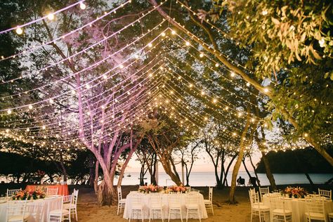 Dreams Las Mareas - Costa Rica Wedding Reception Costa Rica Micro Wedding, Dreams Las Mareas Wedding, Dreams Las Mareas Costa Rica Wedding, Costa Rica Wedding Dress, Dreams Las Mareas Costa Rica, Las Mareas Costa Rica, Costa Rica Tamarindo, Costa Rica Beach Wedding, Place Wallpaper