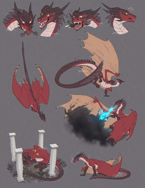 Dragon Poses, Dragon Anatomy, Sketch Page, Dragon Drawings, Dragon Designs, Wings Of Fire Dragons, Dragon Artwork Fantasy, Dragon Sketch, Cool Dragons